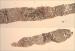 1 423 retic.jpg